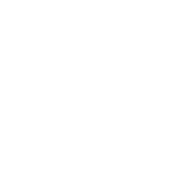 guiding-light preview.